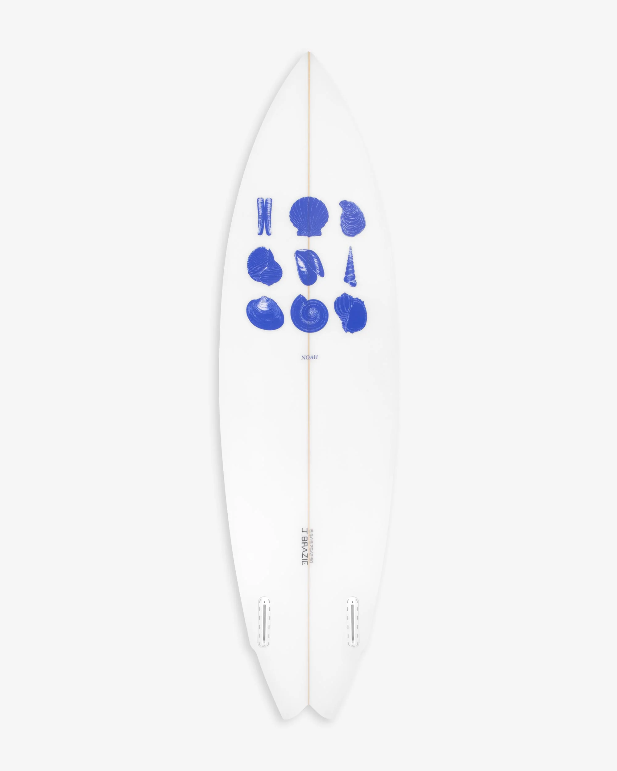 Shells Surfboard - Image 2